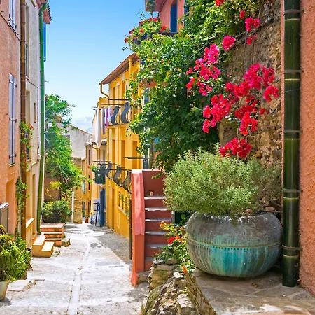 Apartament Le Haut-1 By Interhome Collioure